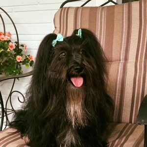 Meet your Posher, Renee